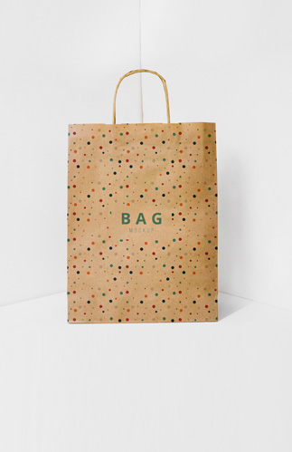 Paper Bag 1 Paper Bag